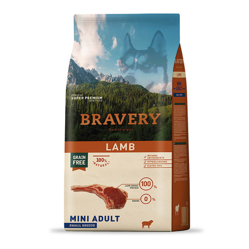 Bravery - Mini Adult Lamb