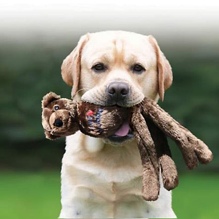 Kong - Wubba Friends