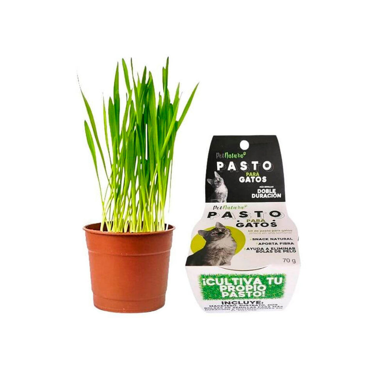 Pet Natura - Kit de Pasto para Gatos