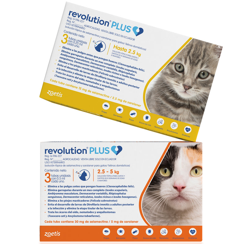 Revolution Plus para Gatos