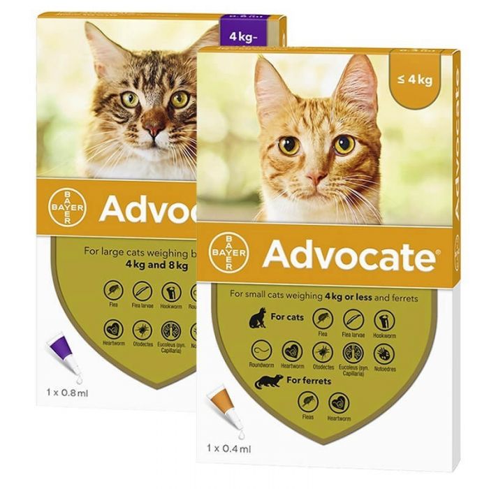 Advocate para Gatos