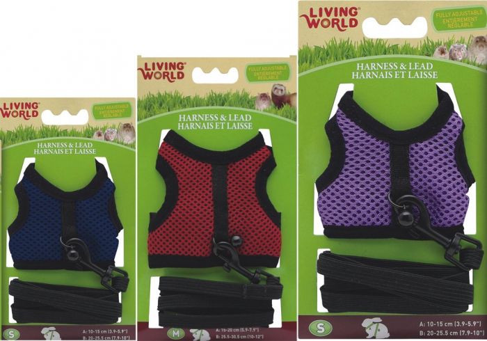 Living World - Arnés Pequeñas Mascotas