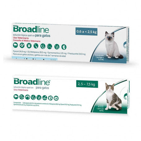 Broadline Pipeta