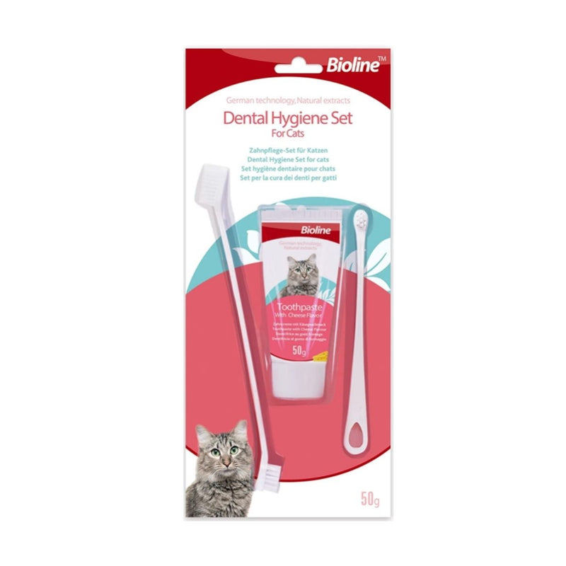Kit Higiene Dental Gato