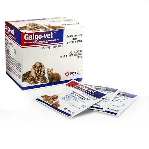 Galgovet - Antiparasitario interno para perros y gatos 1comp