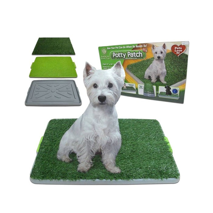 Baño Sanitario para Perros - Medium