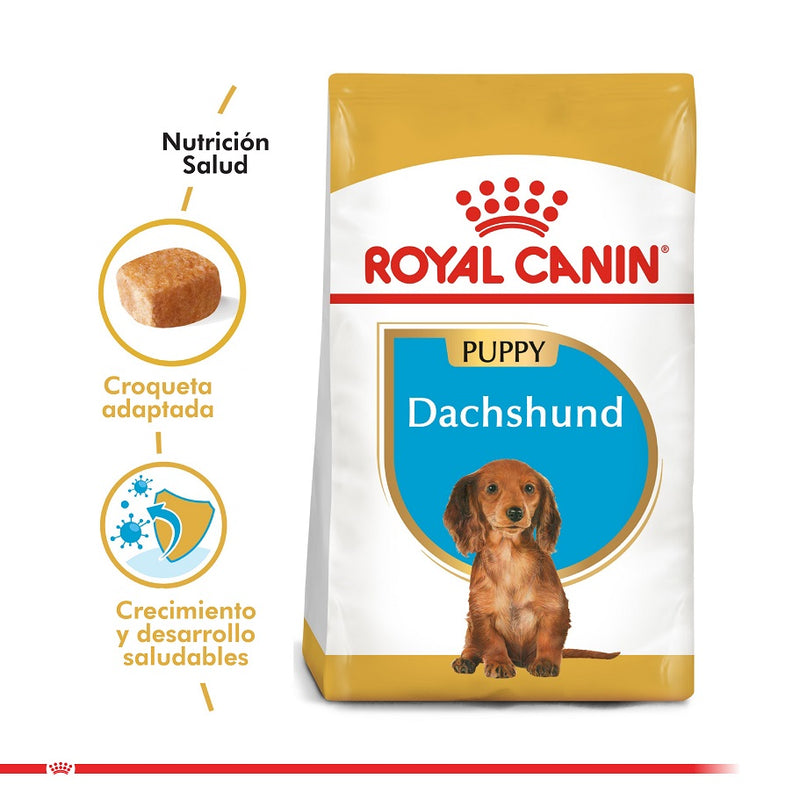 Royal Canin - Dachshund Teckel Salchicha Puppy 2.5kg