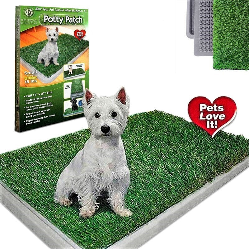 Baño Sanitario para Perros - Medium