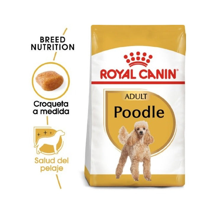 Royal Canin - Poodle Adulto