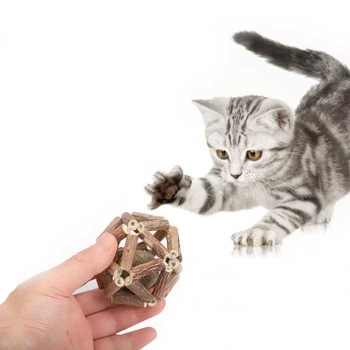 Bola de Catnip en Jaula