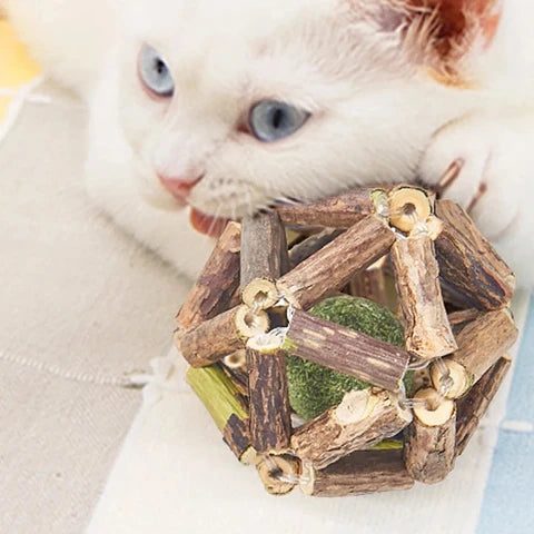 Bola de Catnip en Jaula