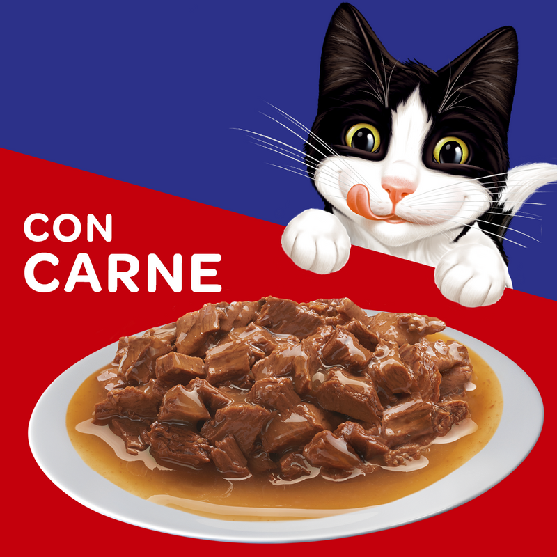Pouch - Sobre Felix Alimento Humedo Carne 85gr