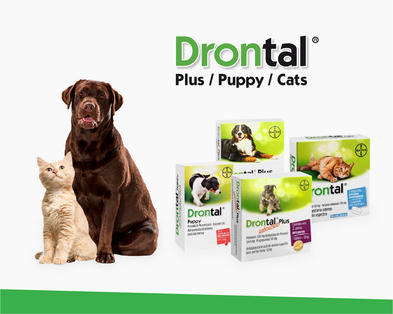 Drontal para Perros