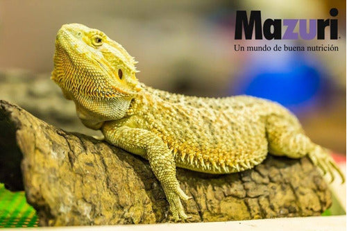 Mazuri - Bearded Dragon Diet 200gr
