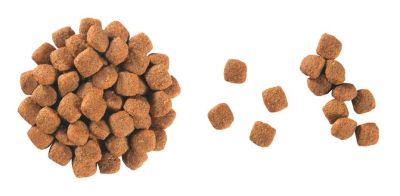 Royal Canin - Young Female