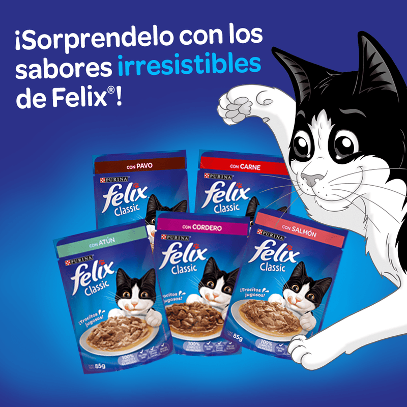Pouch - Sobre Felix Alimento Humedo Pollo e Higado 85gr