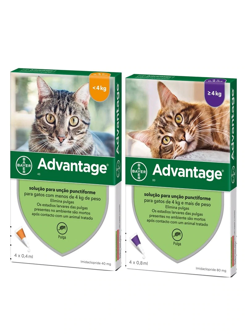 Advantage para Gatos