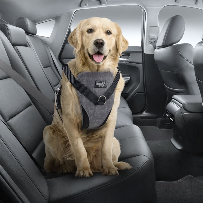 AFP Travel Dog Arnes de Seguridad