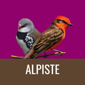 Champion - Mini Pet Alpiste 500gr