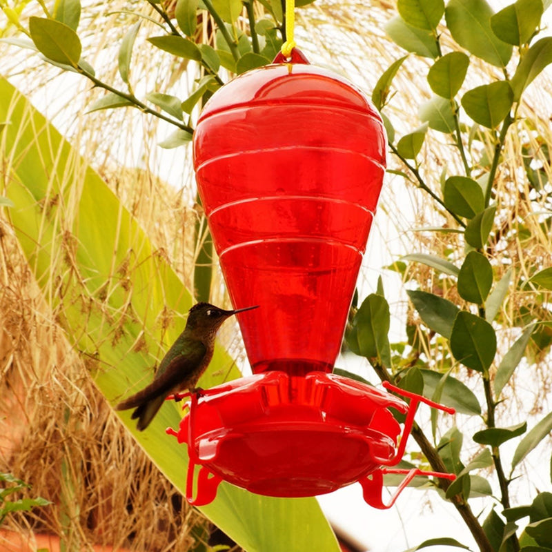 Bebedero para Colibrí