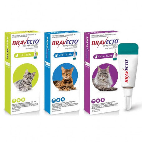 Bravecto para Gatos