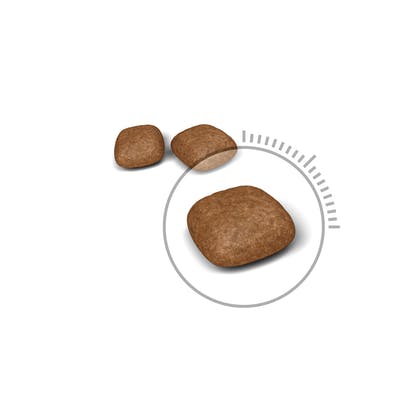 Royal Canin - Urinary Care
