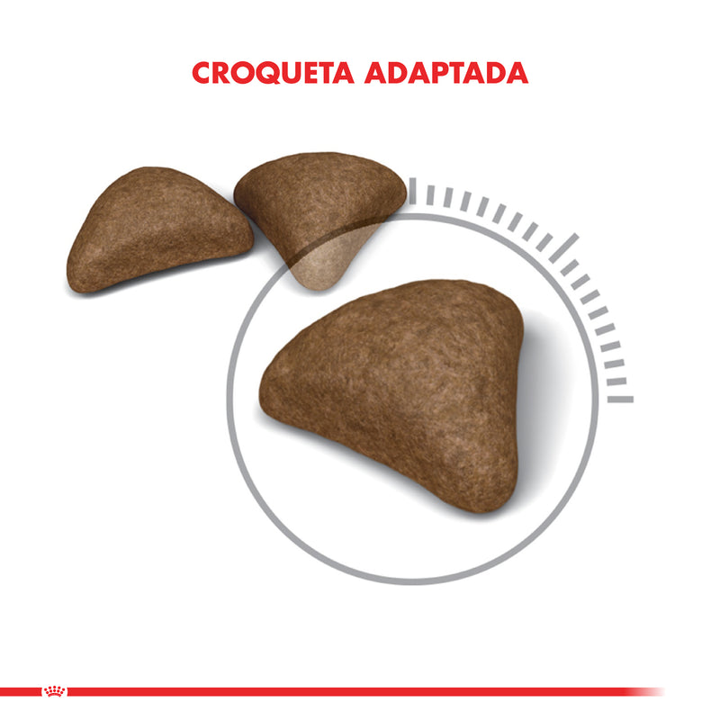 Royal Canin - Hairball Care 1.5kg
