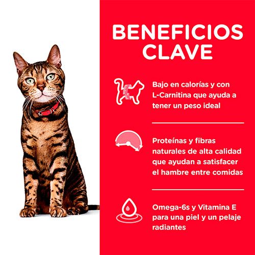 Hill's - Adulto (1-6años) Light Felino