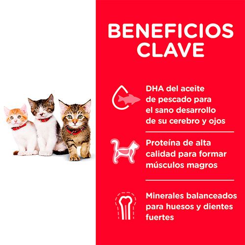 Hill's - Kitten (<1año)