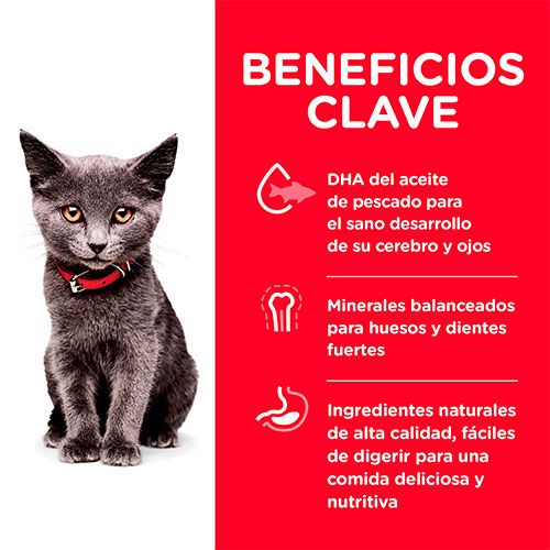 Hill's - Indoor Kitten (<1año)