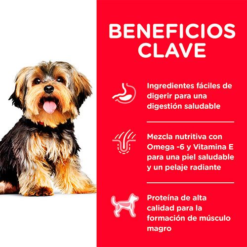 Hill's - Adulto (1-6años) Small Paws 2.04kg