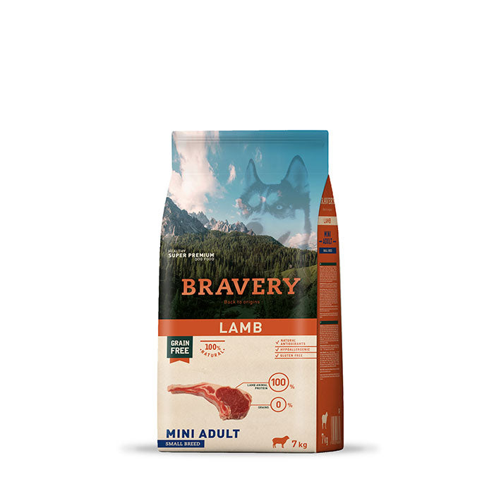 Bravery - Mini Adult Lamb