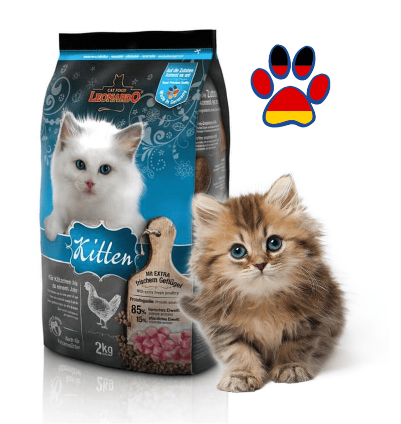 Leonardo - Kitten 2kg