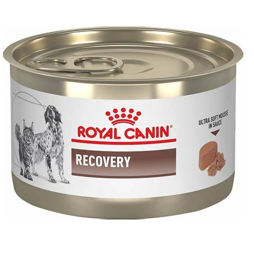 Royal Canin - Lata Recovery Canino/Felino 145gr