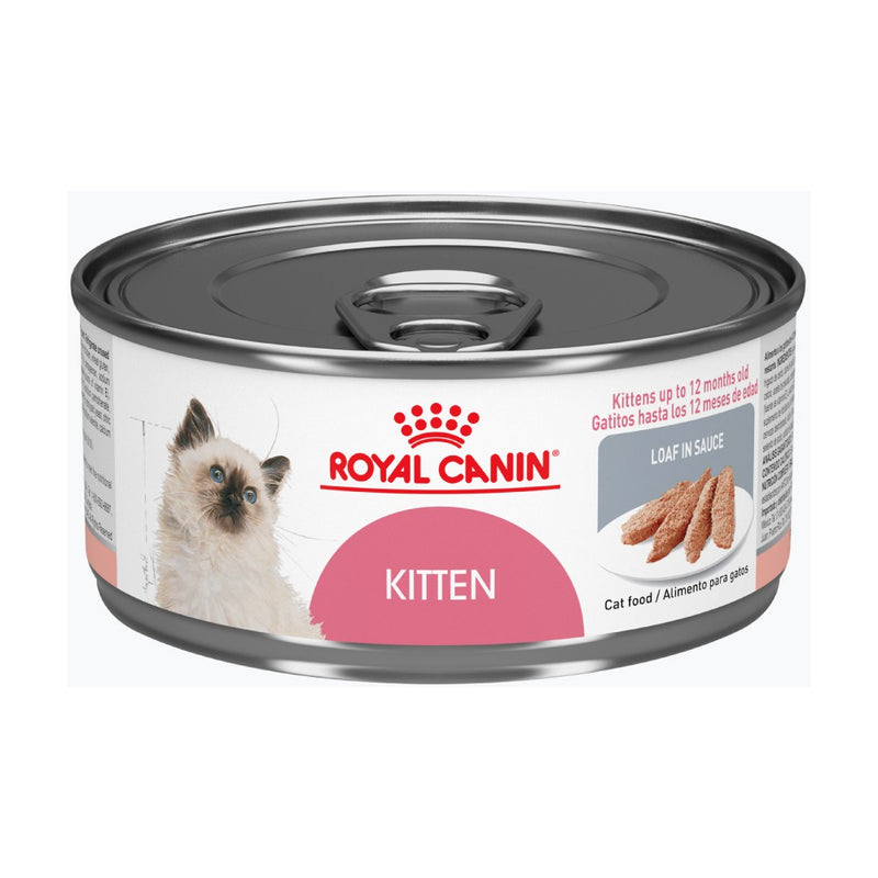 Royal Canin - Lata Kitten 145gr