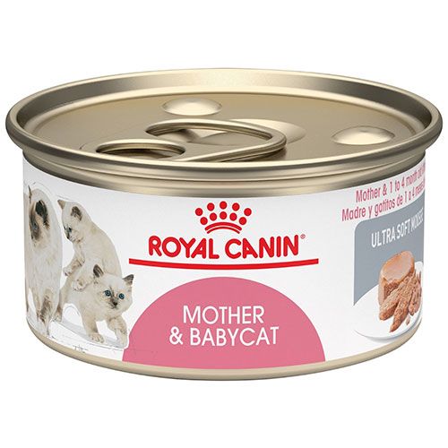 Royal Canin - Lata Mother & BabyCat 145gr
