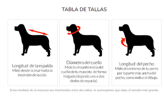 Mascotachic - Chaqueta Huaso