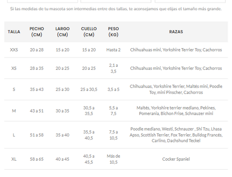 Mascotachic - Chaqueta Huaso